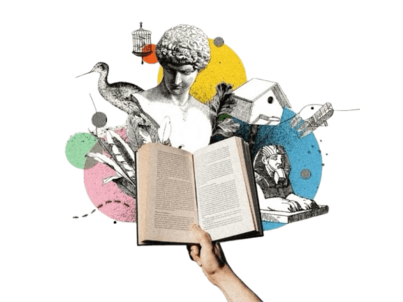 Application illustration